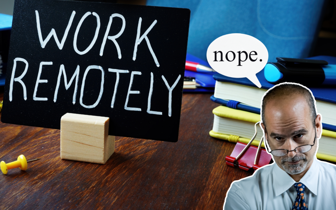Why Do Critics Challenge the Productivity of Remote Work?